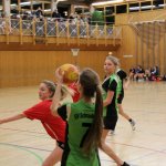 2016_01_16 Landesliga Jugend 19
